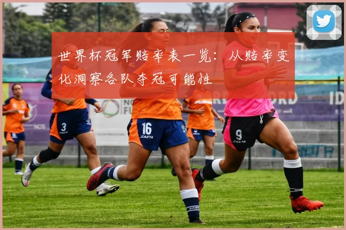 世界杯冠军赔率表一览：从赔率变化洞察各队夺冠可能性
