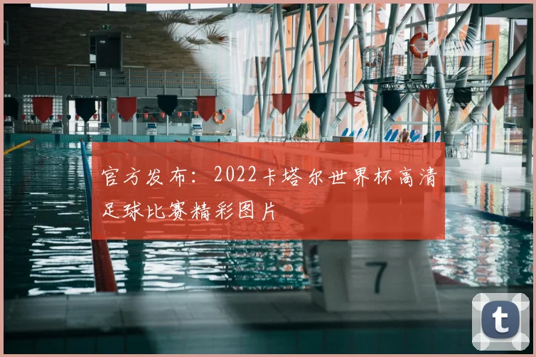 官方发布：2022卡塔尔世界杯高清足球比赛精彩图片
