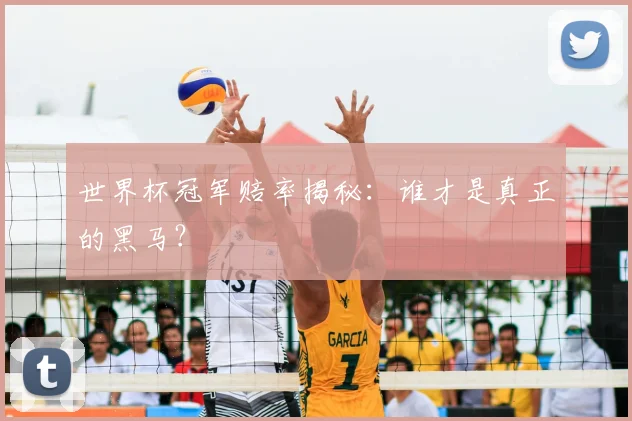 世界杯冠军赔率揭秘:谁才是真正的黑马?
