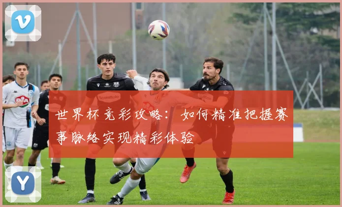 世界杯竞彩攻略:如何精准把握赛事脉络实现精彩体验