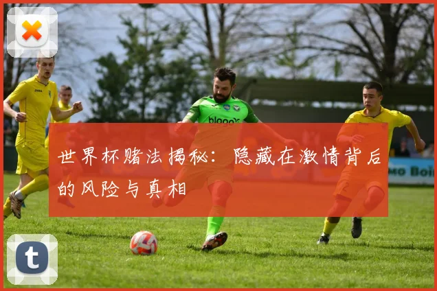 世界杯赌法揭秘：隐藏在激情背后的风险与真相
