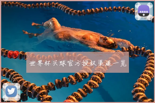 世界杯买球官方授权渠道一览