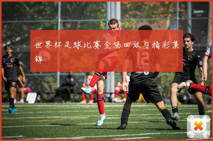 世界杯足球比赛全场回放与精彩集锦