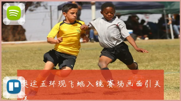 奥运五环现飞蛾入镜 赛场画面引关注