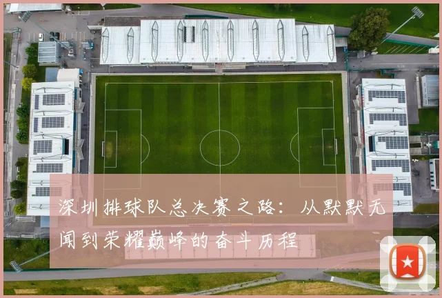深圳排球队总决赛之路:从默默无闻到荣耀巅峰的奋斗历程
