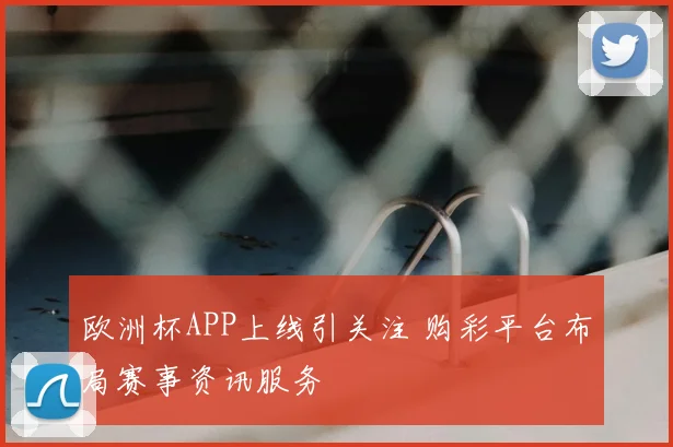 欧洲杯APP上线引关注 购彩平台布局赛事资讯服务
