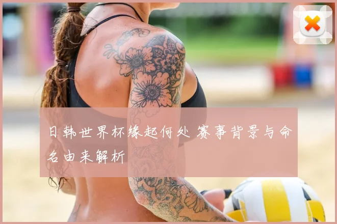 日韩世界杯缘起何处 赛事背景与命名由来解析
