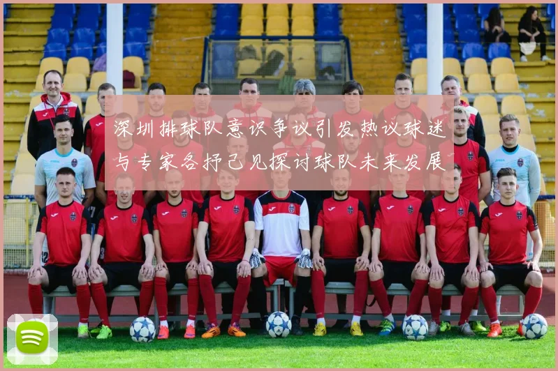 深圳排球队意识争议引发热议球迷与专家各抒己见探讨球队未来发展