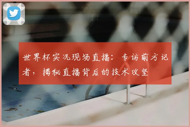 世界杯实况现场直播:专访前方记者,揭秘直播背后的技术攻坚
