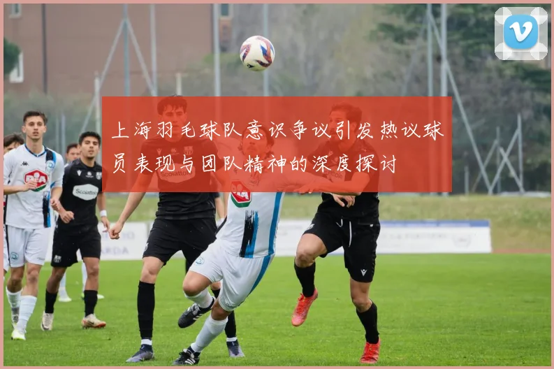上海羽毛球队意识争议引发热议球员表现与团队精神的深度探讨