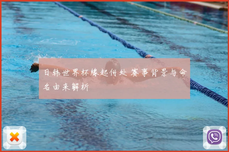 日韩世界杯缘起何处 赛事背景与命名由来解析