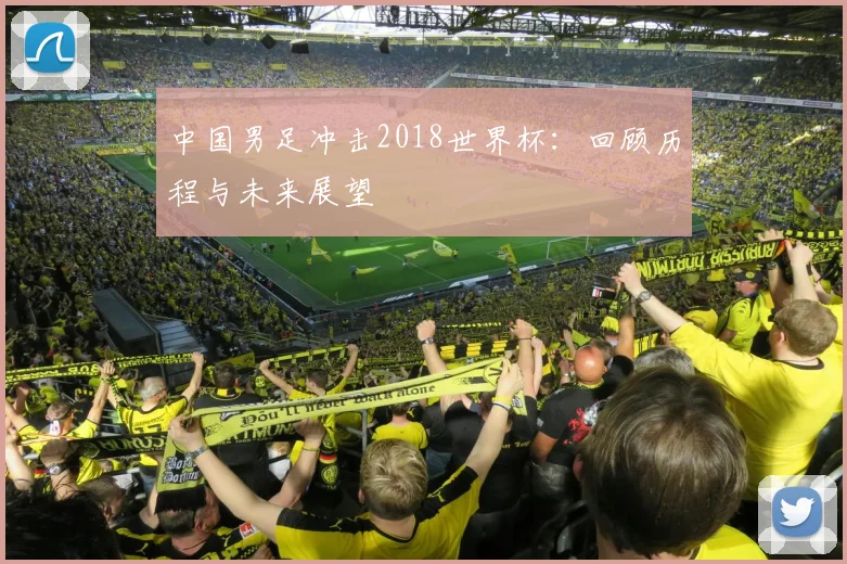 中国男足冲击2018世界杯：回顾历程与未来展望
