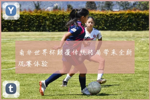 南非世界杯颠覆传统格局带来全新观赛体验