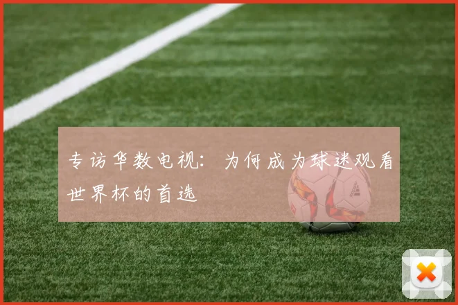 专访华数电视:为何成为球迷观看世界杯的首选