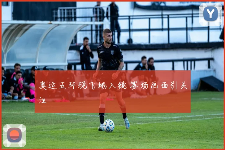 奥运五环现飞蛾入镜 赛场画面引关注