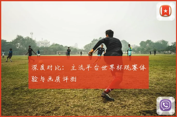 深度对比：主流平台世界杯观赛体验与画质评测