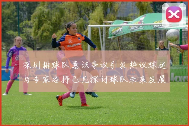 深圳排球队意识争议引发热议球迷与专家各抒己见探讨球队未来发展